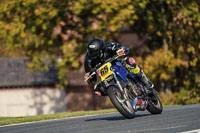 anglesey;brands-hatch;cadwell-park;croft;donington-park;enduro-digital-images;event-digital-images;eventdigitalimages;mallory;no-limits;oulton-park;peter-wileman-photography;racing-digital-images;silverstone;snetterton;trackday-digital-images;trackday-photos;vmcc-banbury-run;welsh-2-day-enduro